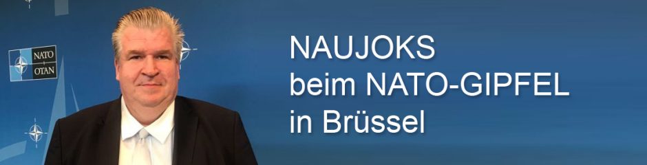 Naujoks zu Gast beim Nato-Gipfel 2018